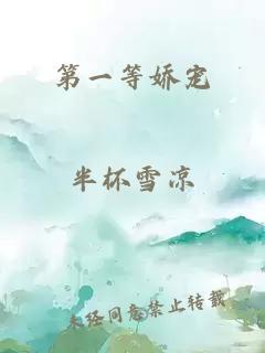 第一等娇宠