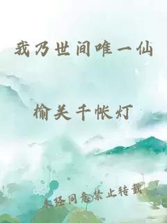 我乃世间唯一仙