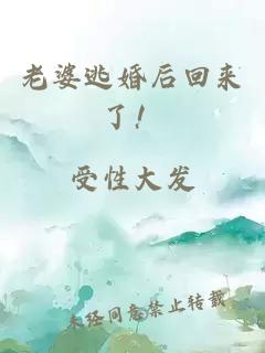 老婆逃婚后回来了！