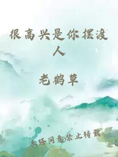 很高兴是你摆渡人