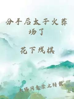 分手后太子火葬场了