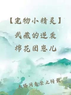 【宠物小精灵】武藏的逆袭
