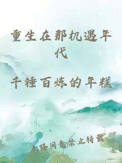 重生在那机遇年代