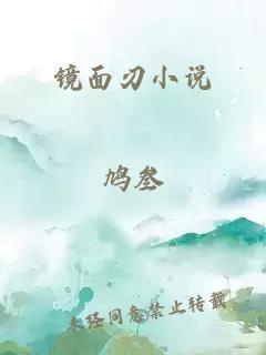 镜面刃小说