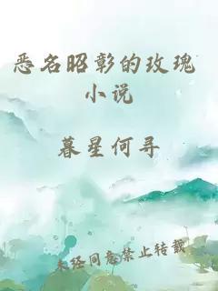 恶名昭彰的玫瑰 小说