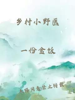 乡村小野医