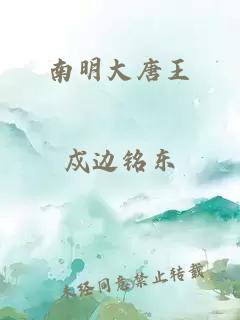 南明大唐王