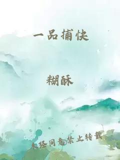 一品捕快