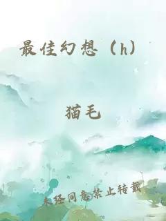 最佳幻想(h)