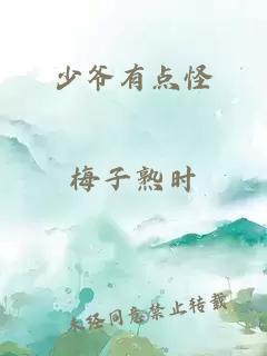 少爷有点怪