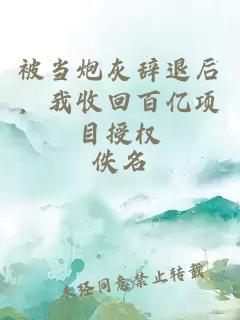 被当炮灰辞退后，我收回百亿项目授权