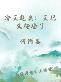 冷王追妻：王妃又爬墙了
