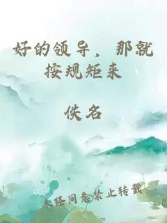 好的领导，那就按规矩来