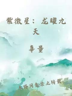 紫微星：龙曜九天
