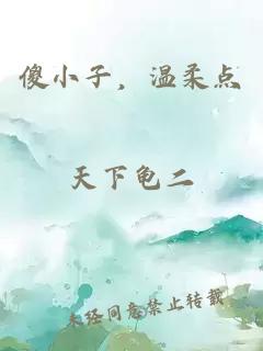 傻小子,温柔点