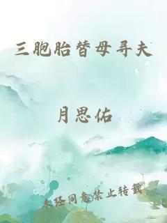 三胞胎替母寻夫