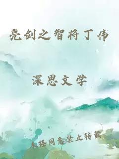 亮剑之智将丁伟