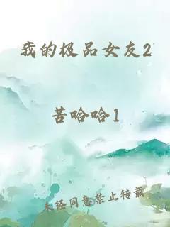 我的极品女友2