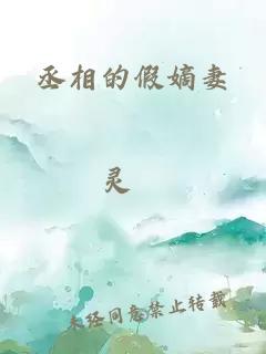 丞相的假嫡妻