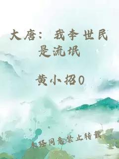 大唐：我李世民是流氓