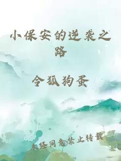 小保安的逆袭之路
