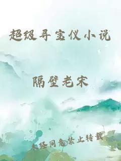 超级寻宝仪小说