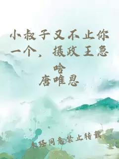 小叔子又不止你一个，摄政王急啥