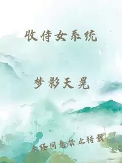 收侍女系统