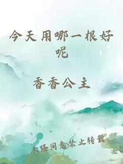 今天用哪一根好呢