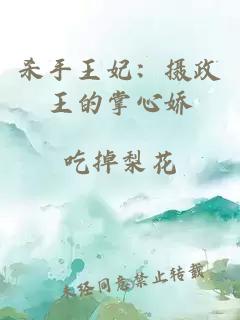 杀手王妃:摄政王的掌心娇