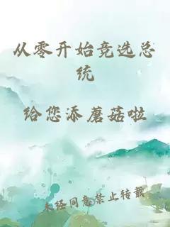 从零开始竞选总统
