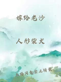 嫁给老沙