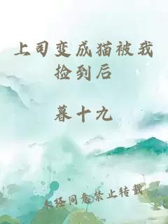 上司变成猫被我捡到后