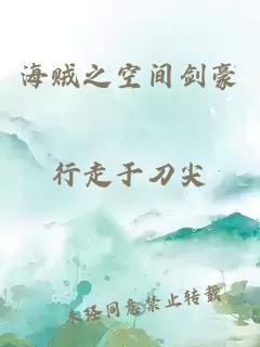 海贼之空间剑豪
