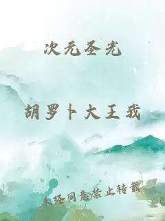 次元圣光
