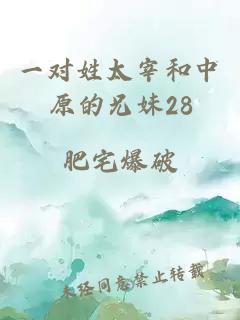 一对姓太宰和中原的兄妹28