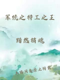 军统之特工之王