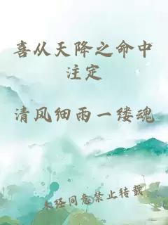 喜从天降之命中注定