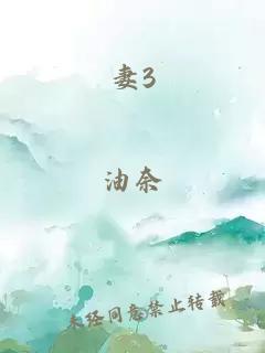 妻3
