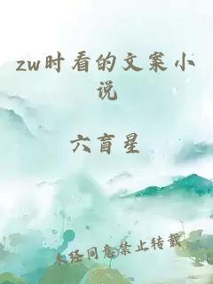 zw时看的文案小说