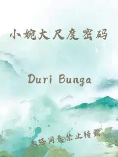 小婉大尺度密码