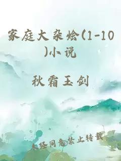 家庭大杂烩(1-10)小说