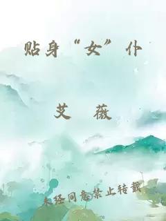 贴身“女”仆
