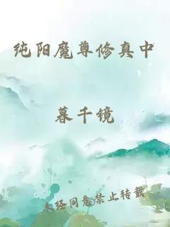 纯阳魔尊修真中