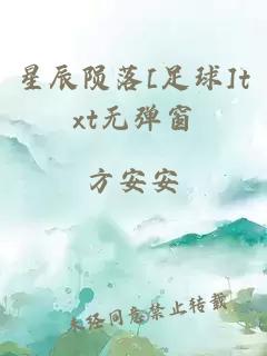 星辰陨落[足球]txt无弹窗