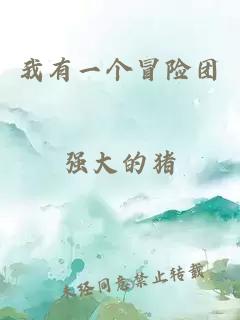 我有一个冒险团