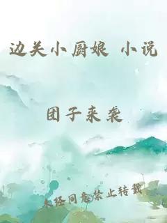 边关小厨娘 小说