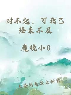 对不起，可我已经来不及
