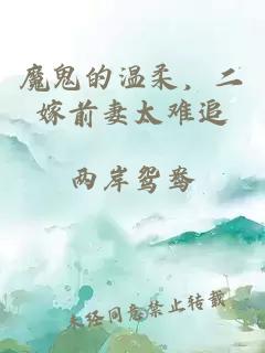 魔鬼的温柔，二嫁前妻太难追