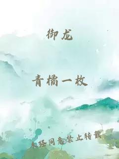 御龙